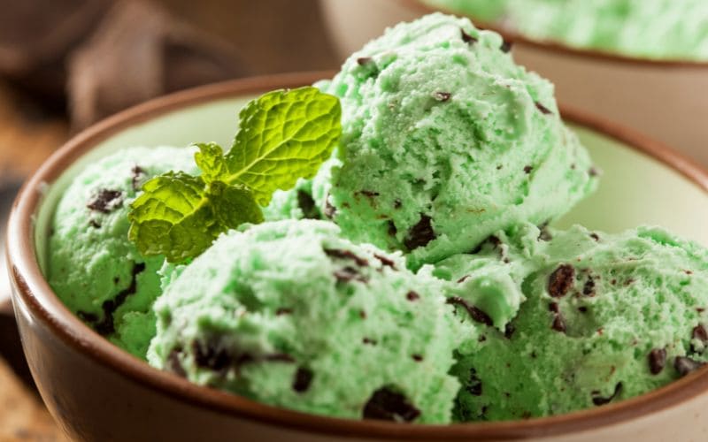 Mint Chocolate Chip Recipe
