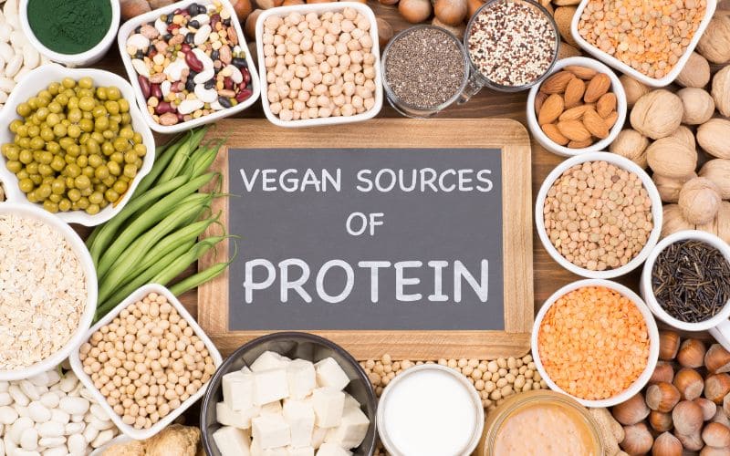 Vegan Protein Source